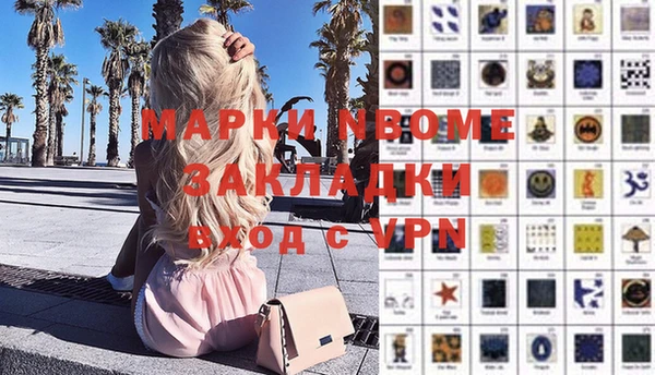 метадон Алексин