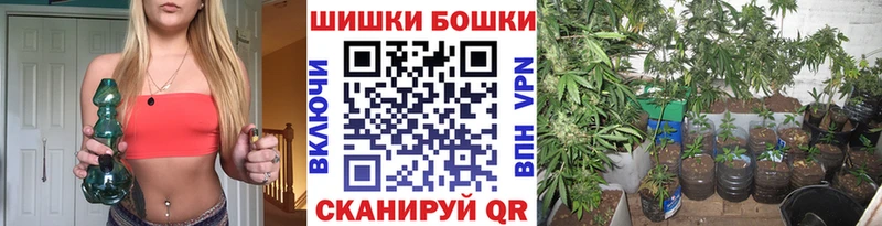 Купить  Ступино  Бошки Шишки White Widow 